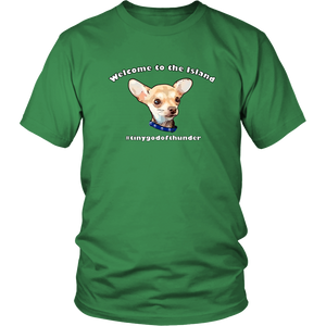 Unisex District T-Shirt (additional colors available)