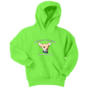 Youth hoodie