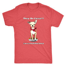 Load image into Gallery viewer, Men&#39;s Next Level Triblend T-Shirt (Additional Colors Available)