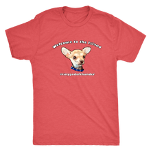 Load image into Gallery viewer, Men&#39;s Next Level Triblend T-Shirt (additional colors available)