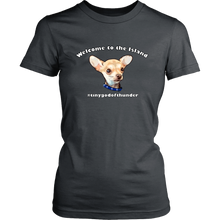 Load image into Gallery viewer, Women&#39;s District T-Shirt (additional colors available)
