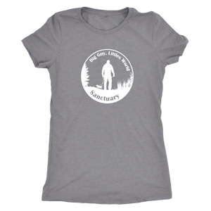 Women's Next Level Triblend T-Shirt (additional colors available)