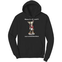 Load image into Gallery viewer, Quinny Hoodie