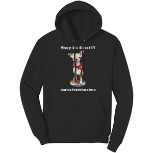 Quinny Hoodie