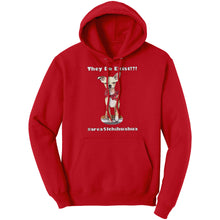 Load image into Gallery viewer, Quinny Hoodie