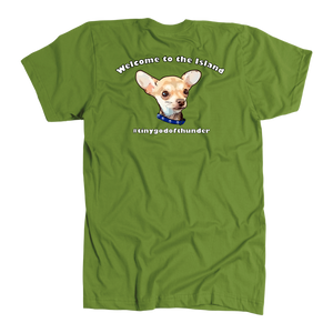 Men's American Apparel Slim Fit T-Shirt (Additional Colors Available)
