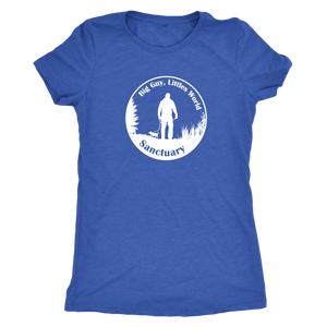 Women's Next Level Triblend T-Shirt (additional colors available)