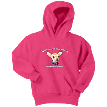 Load image into Gallery viewer, Youth hoodie