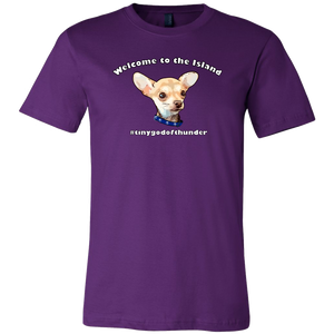 Unisex Canvas T-Shirt (additional colors available)