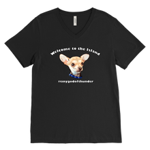 Load image into Gallery viewer, Men&#39;s Canvas V-Neck T-Shirt (additional colors available)