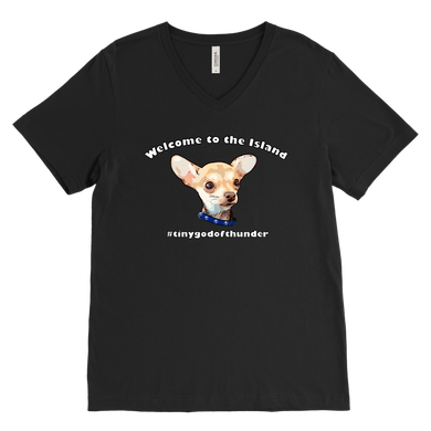 Men's Canvas V-Neck T-Shirt (additional colors available)
