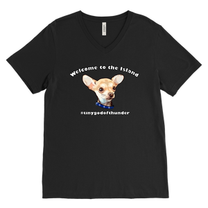 Men's Canvas V-Neck T-Shirt (additional colors available)