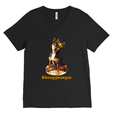 Men's Canvas V-Neck T-Shirt (additional colors available)
