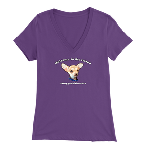 Women's Bella V-Neck T-Shirt (Additional Colors Available)