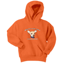 Load image into Gallery viewer, Youth hoodie