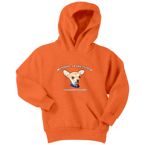 Youth hoodie