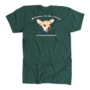Men's American Apparel Slim Fit T-Shirt (Additional Colors Available)