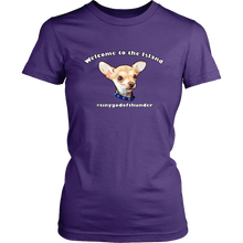 Load image into Gallery viewer, Women&#39;s District T-Shirt (additional colors available)
