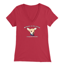 Load image into Gallery viewer, Women&#39;s Bella V-Neck T-Shirt (Additional Colors Available)