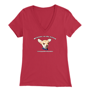Women's Bella V-Neck T-Shirt (Additional Colors Available)