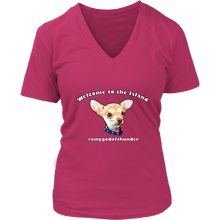 Load image into Gallery viewer, Women&#39;s District V-Neck T-Shirt (additional colors available)