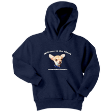 Load image into Gallery viewer, Youth hoodie