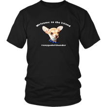 Load image into Gallery viewer, Unisex District T-Shirt (additional colors available)