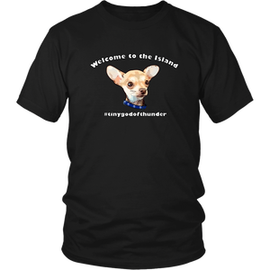 Unisex District T-Shirt (additional colors available)