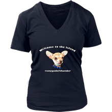 Load image into Gallery viewer, Women&#39;s District V-Neck T-Shirt (additional colors available)