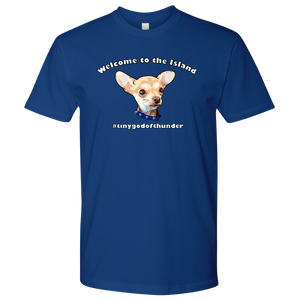 Men's Next Level T-Shirt (additional colors available)