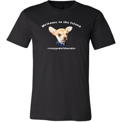 Unisex Canvas T-Shirt (additional colors available)