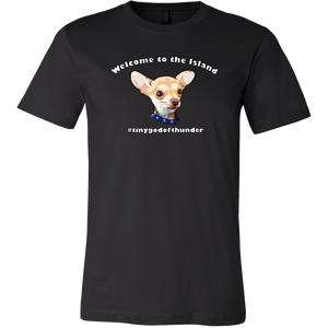 Unisex Canvas T-Shirt (additional colors available)