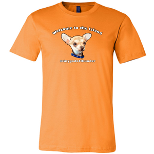 Unisex Canvas T-Shirt (additional colors available)
