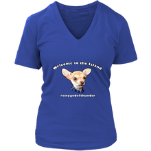 Load image into Gallery viewer, Women&#39;s District V-Neck T-Shirt (additional colors available)