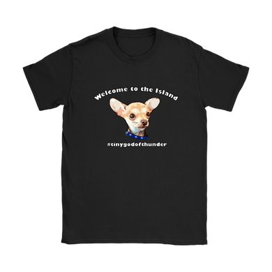 Women's Gildan T-Shirt (additional colors available)