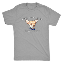 Load image into Gallery viewer, Men&#39;s Next Level Triblend T-Shirt (additional colors available)