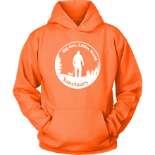 Load image into Gallery viewer, Sanctuary Logo Bright Hoodie