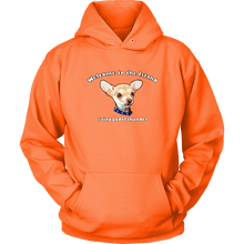 Load image into Gallery viewer, Unisex Hoodie (additional colors available)