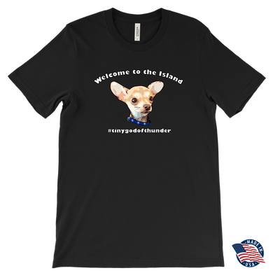 Men's Canvas T-Shirt (additional colors available)