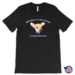 Men's Canvas T-Shirt (additional colors available)