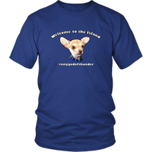 Load image into Gallery viewer, Unisex District T-Shirt (additional colors available)