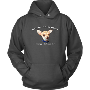 Unisex Hoodie (additional colors available)