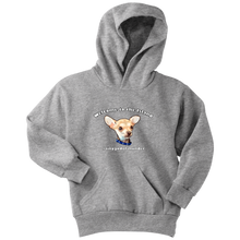 Load image into Gallery viewer, Youth hoodie