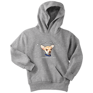 Youth hoodie