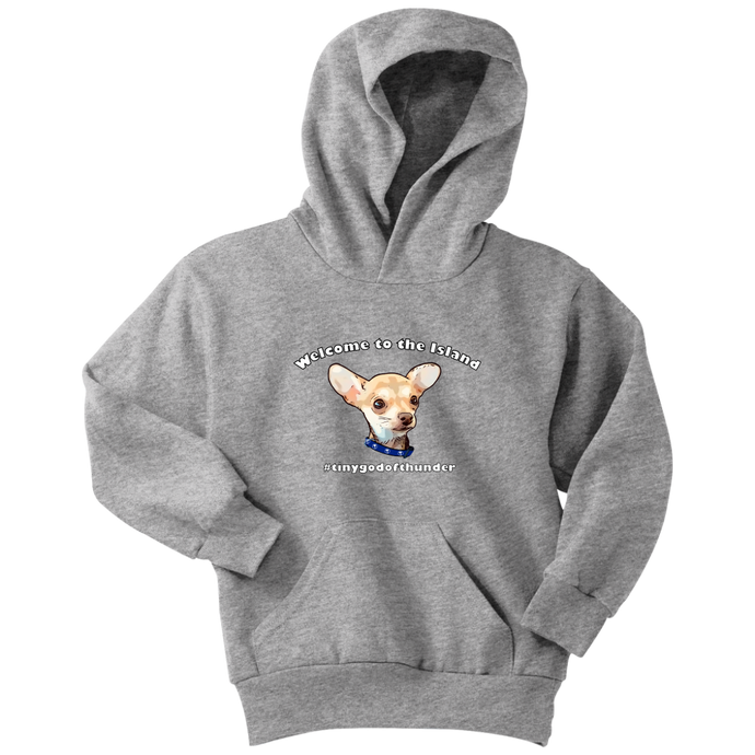 Youth hoodie