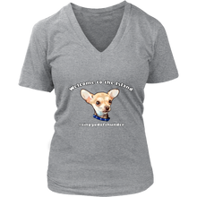 Load image into Gallery viewer, Women&#39;s District V-Neck T-Shirt (additional colors available)