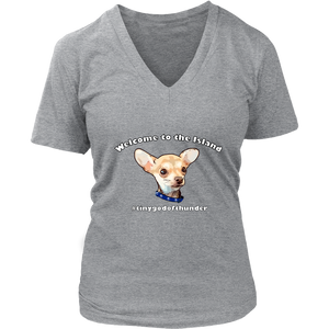 Women's District V-Neck T-Shirt (additional colors available)