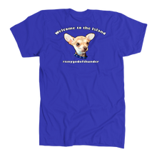 Load image into Gallery viewer, Men&#39;s American Apparel Slim Fit T-Shirt (Additional Colors Available)