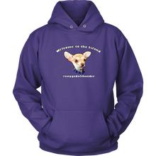 Load image into Gallery viewer, Unisex Hoodie (additional colors available)