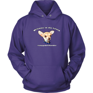 Unisex Hoodie (additional colors available)